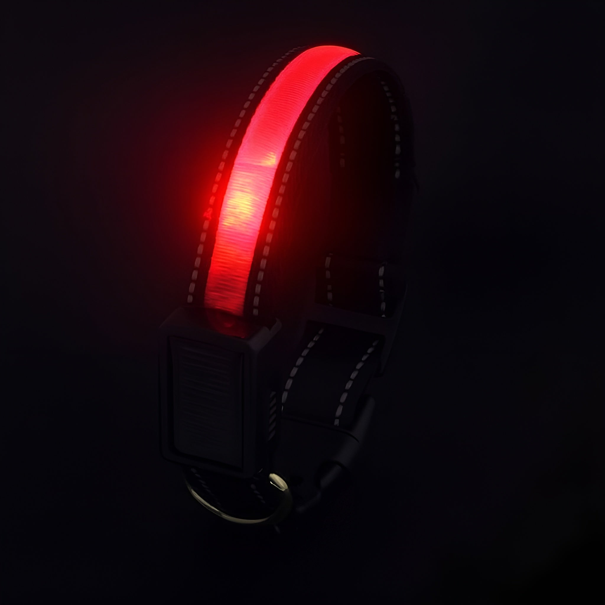 Collar LED para perros – Comprar al mejor precio en NQLN Store Venezuela