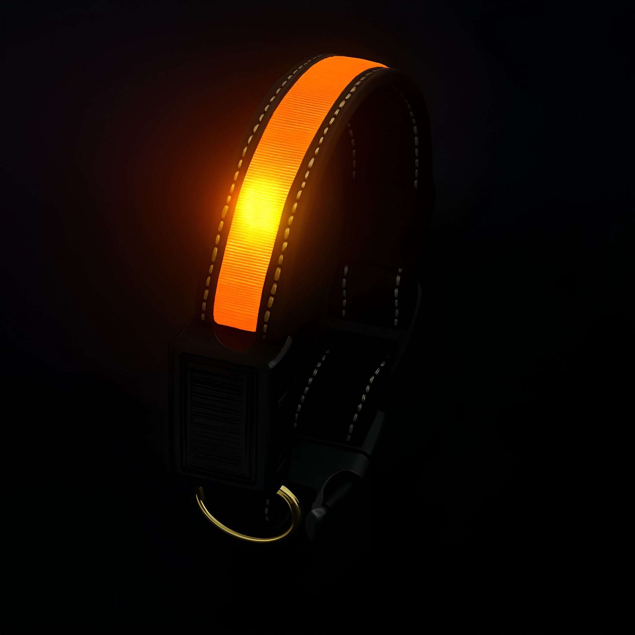 Collar LED para perros – Comprar al mejor precio en NQLN Store Venezuela