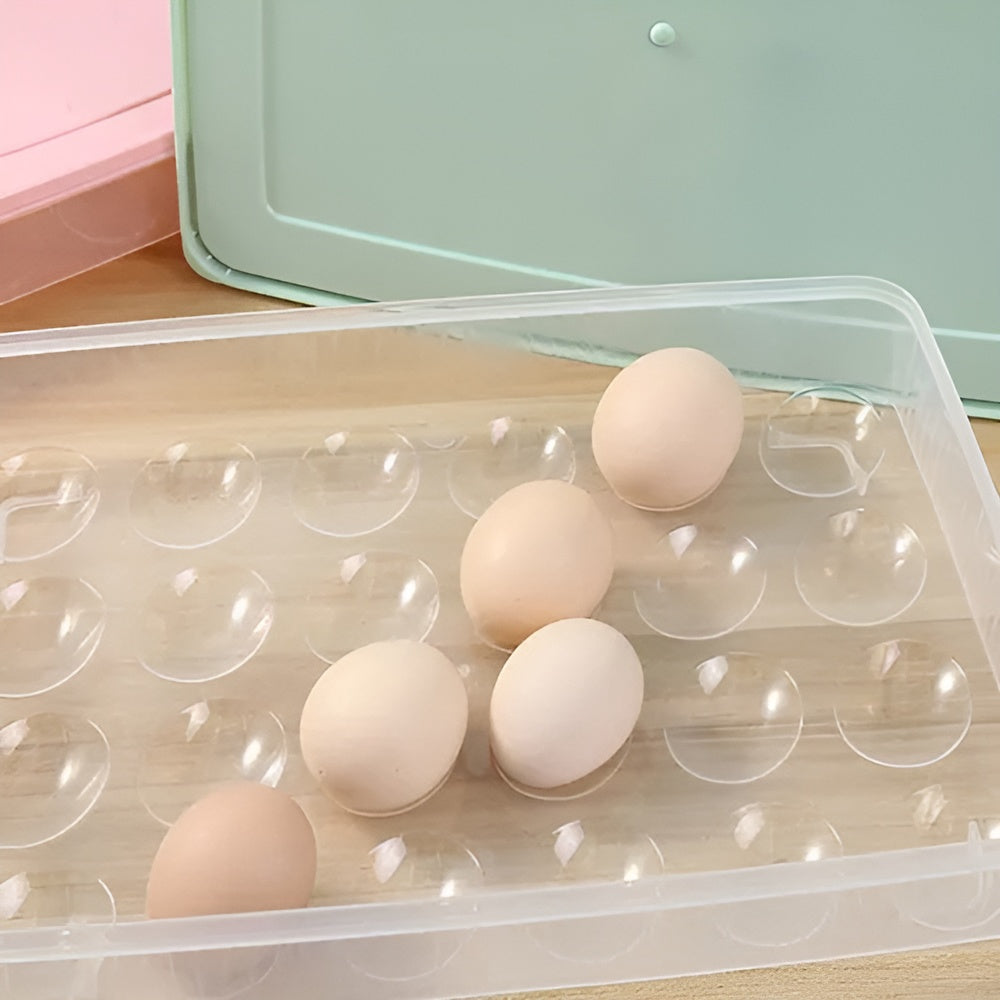 Recipientes de almacenamiento con tapa para huevos pequeños – Comprar al mejor precio en NQLN Store Venezuela