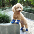 Zapatos para Perros Talla pequeña – Tienda online NQLN Store Venezuela