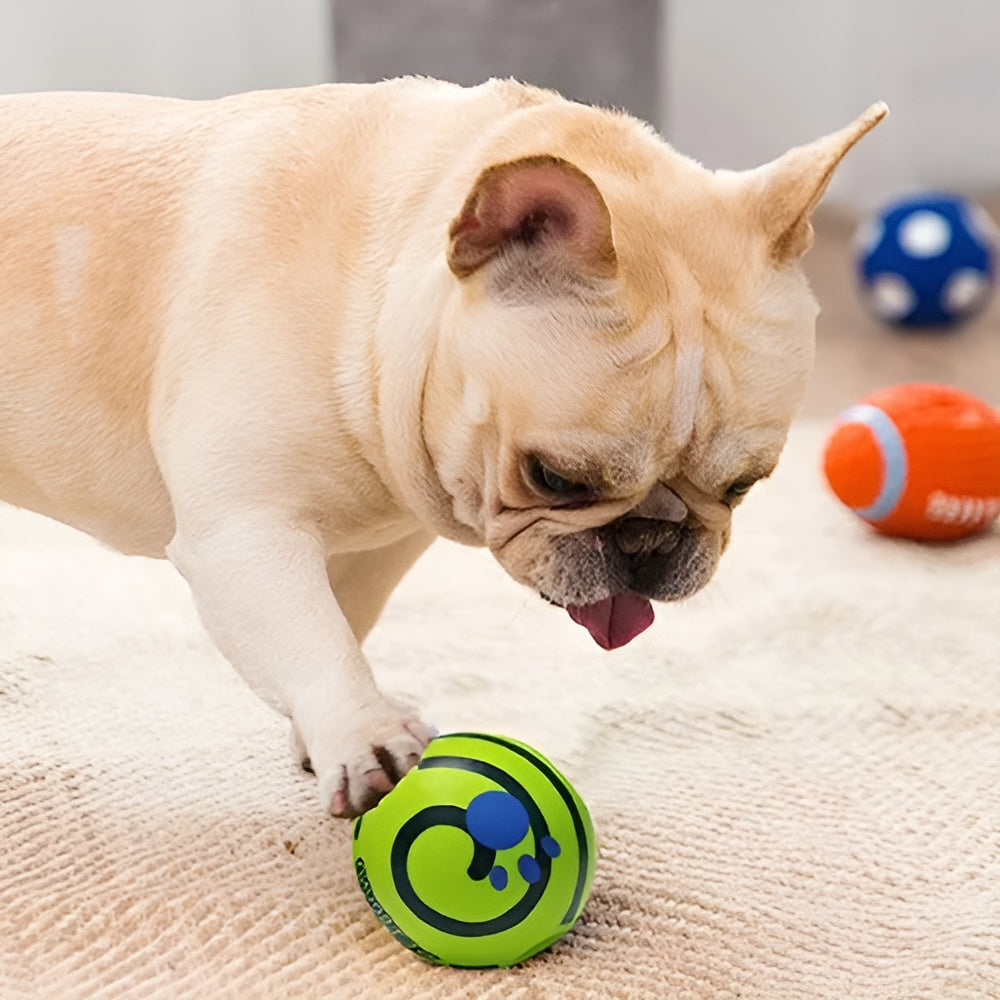 Pelota interactiva para perros – Comprar en Caracas, Margarita y toda Venezuela – NQLN Store