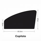 Copiloto (Vidrio delantero derecho)