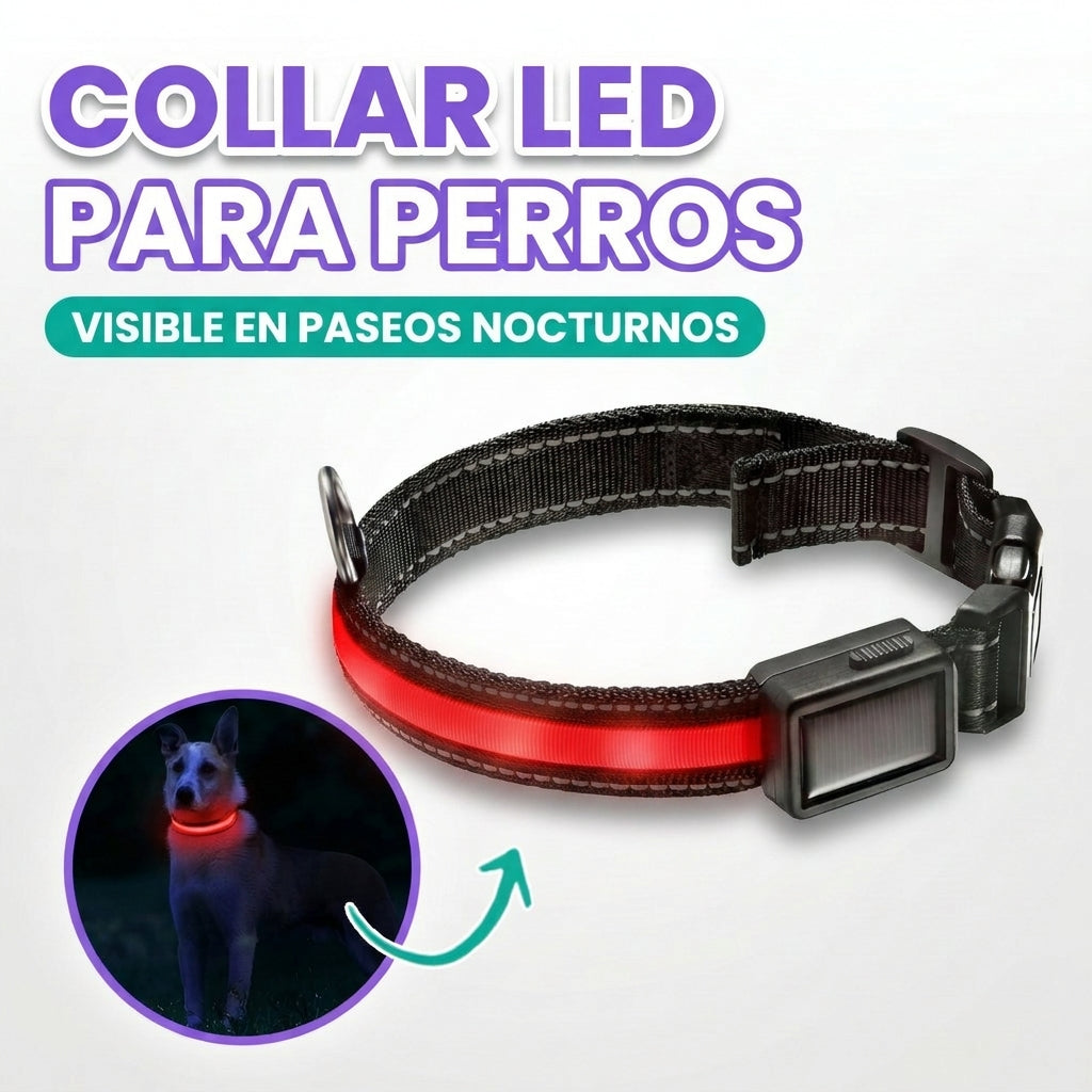 Collar LED para perros