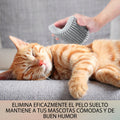 Cepillo de masaje y limpieza para gatos