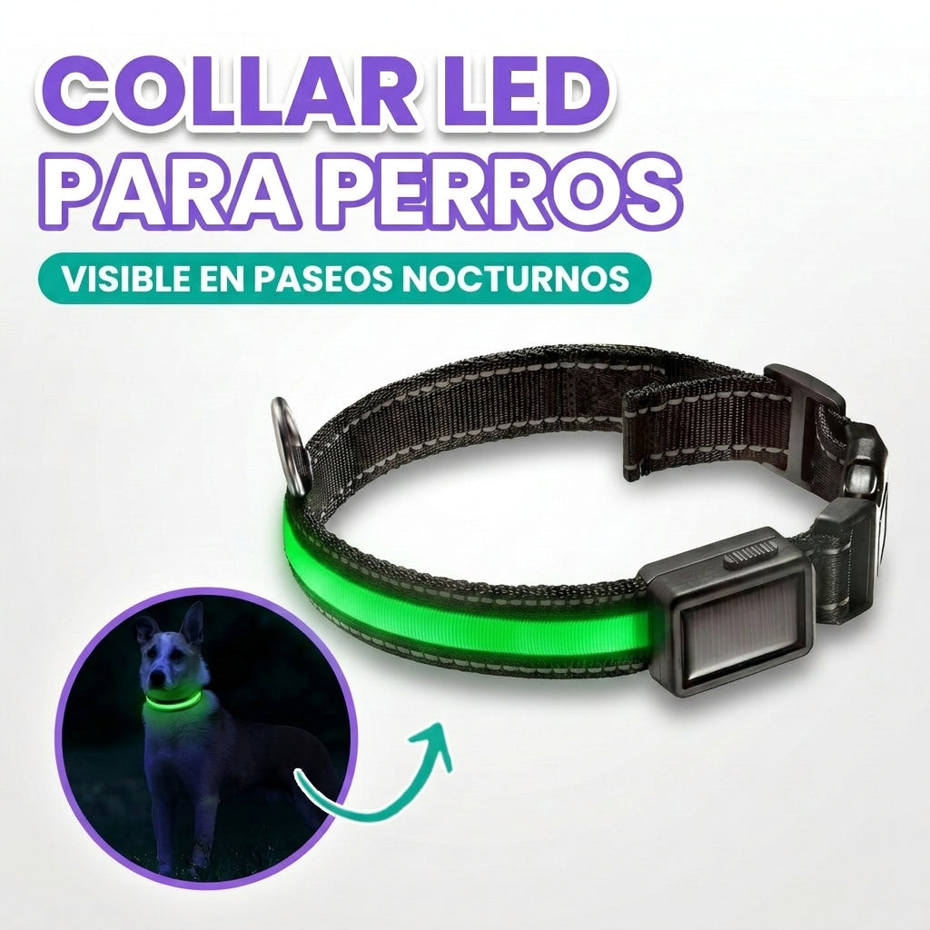 Collar LED para perros