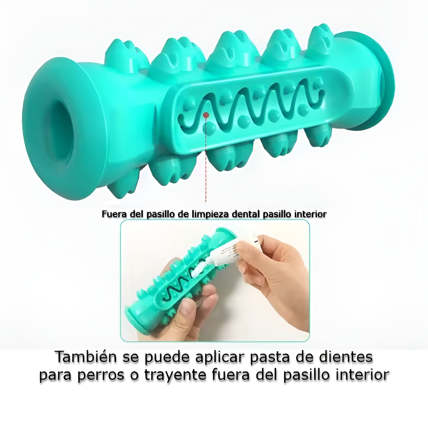 Cepillo de dientes Molar para perros – Comprar al mejor precio en NQLN Store Venezuela