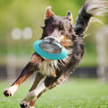 juguete interactivo de alimentacion para perros