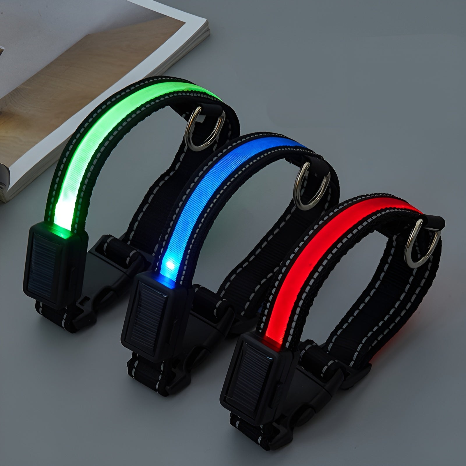 Collar LED para perros – Vista detalle del producto – NQLN Store