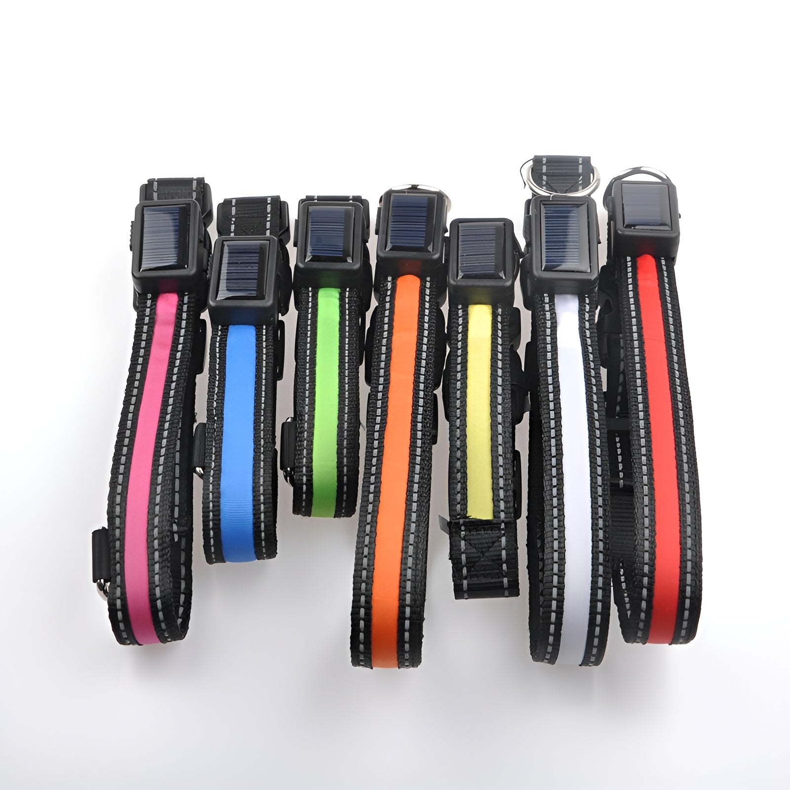 Collar LED para perros – Comprar al mejor precio en NQLN Store Venezuela