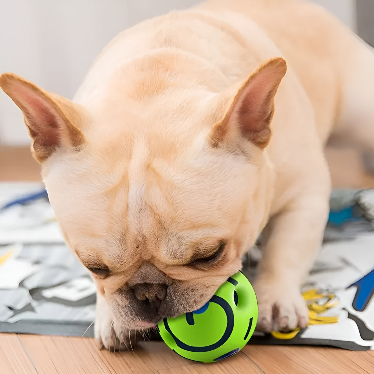 Pelota interactiva para perros – Vista de cerca del producto – NQLN Store