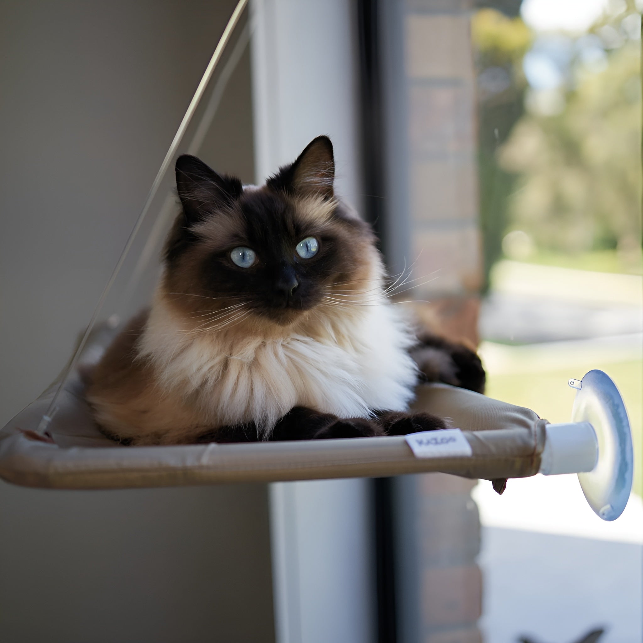 Hamaca para gatos – Tienda online NQLN Store Venezuela