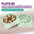 Plato de alimentacion lenta para perros