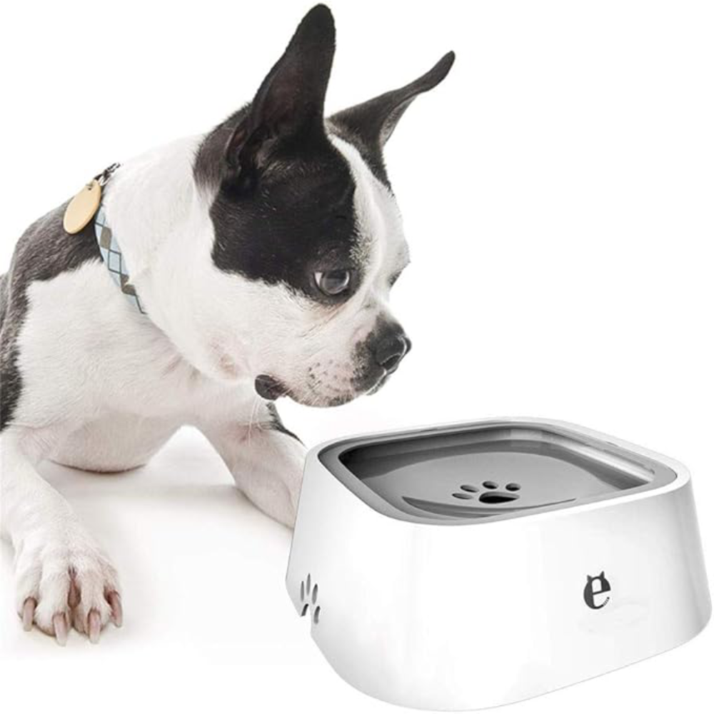 Dispensador de agua para perros – NQLN Store Venezuela, tienda online con envío a todo el país