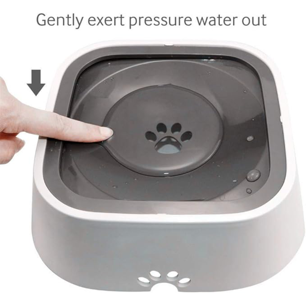 Dispensador de agua para perros – Envío a toda Venezuela – NQLN Store
