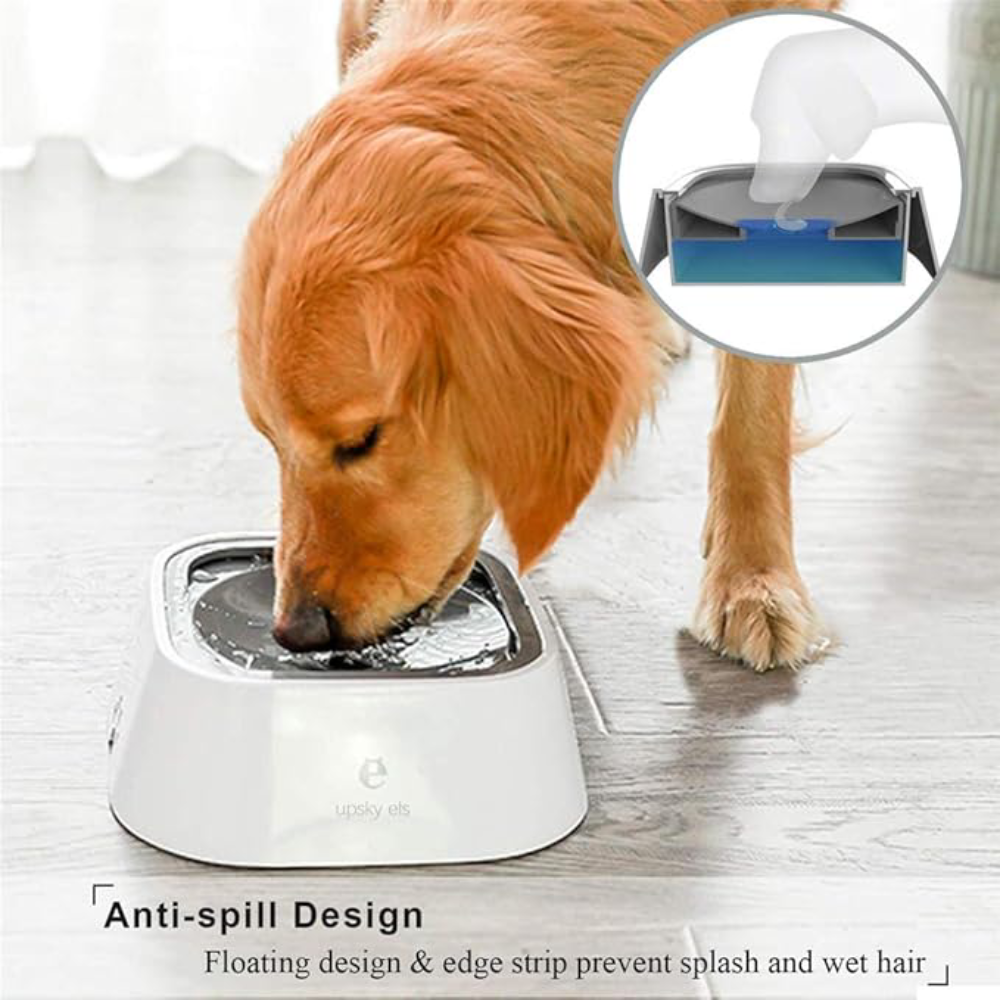 Dispensador de agua para perros – Vista adicional – Disponible en NQLN Store Venezuela