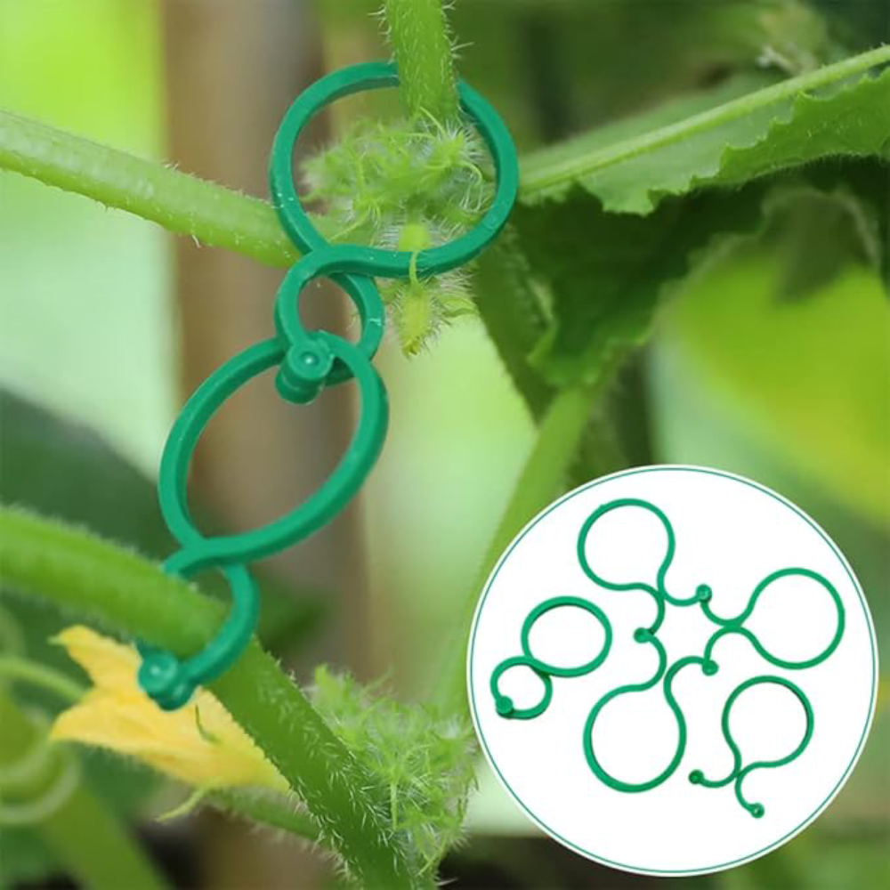 Enredaderas de plastico para plantas – Comprar al mejor precio en NQLN Store Venezuela