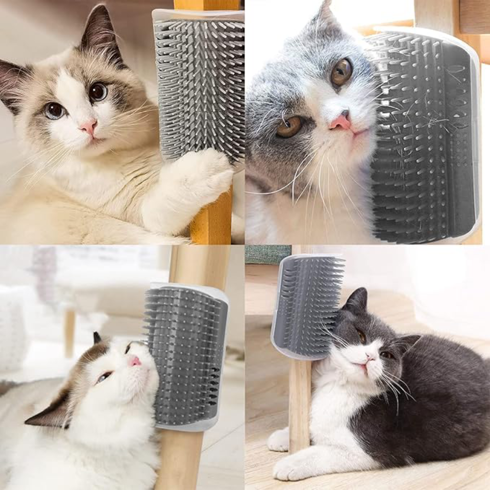 Peine de masaje/limpieza para gatos – Comprar al mejor precio en NQLN Store Venezuela