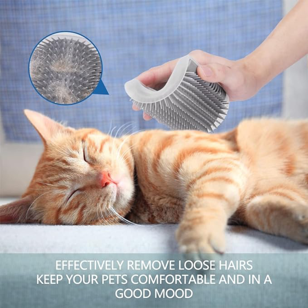 Peine de masaje/limpieza para gatos – Detalle de calidad y acabado – NQLN Store
