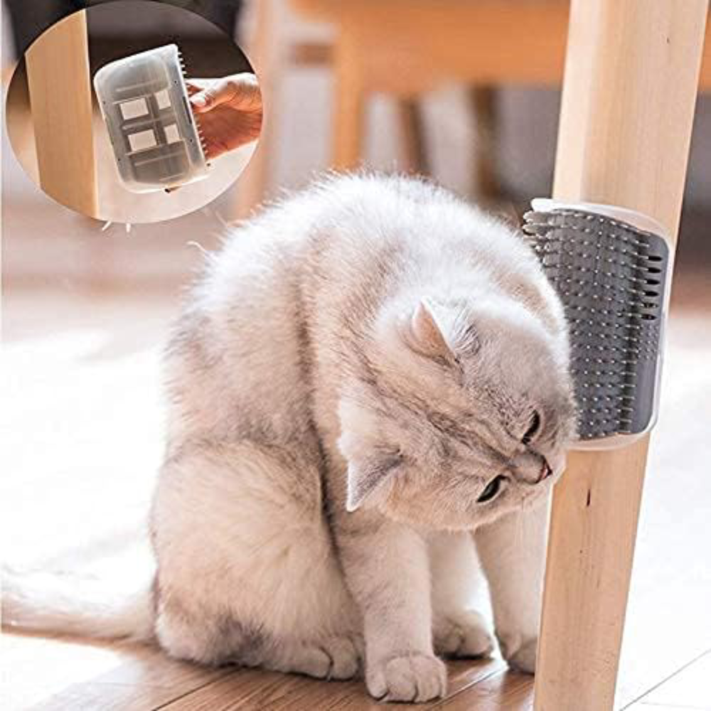 Peine de masaje/limpieza para gatos – Comprar online en NQLN Store Venezuela con envío a todo el país