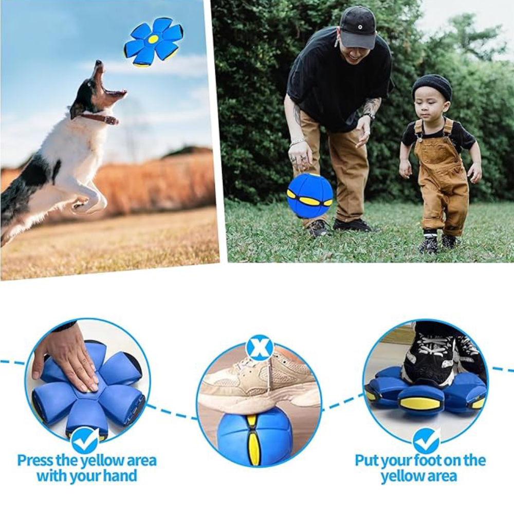 Platillo volador para mascota – Tienda online NQLN Store Venezuela