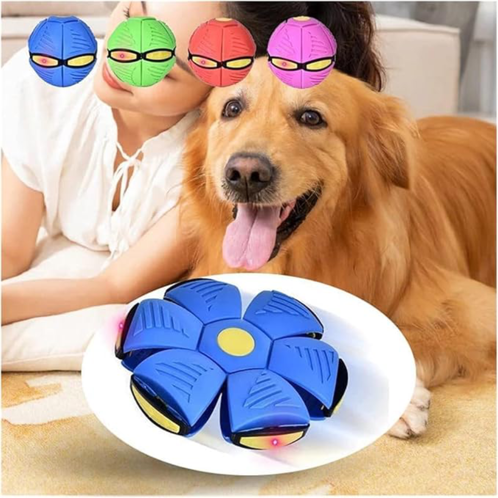 Platillo volador para mascota – Vista de cerca del producto – NQLN Store