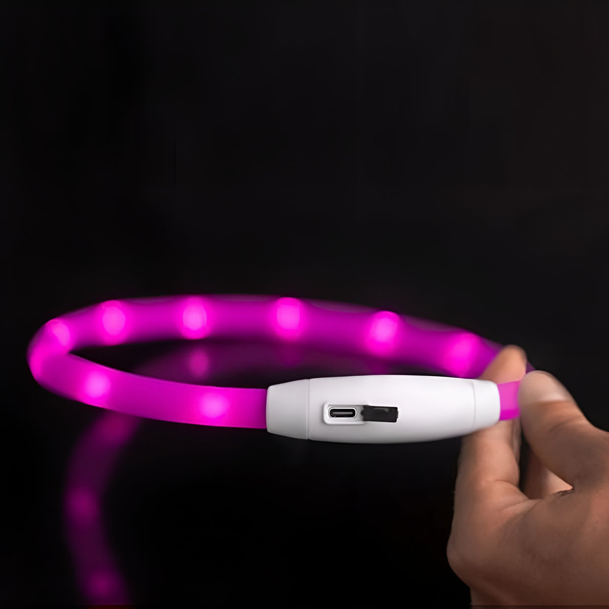 Collar Led para Mascotas Ajustable – Comprar al mejor precio en NQLN Store Venezuela