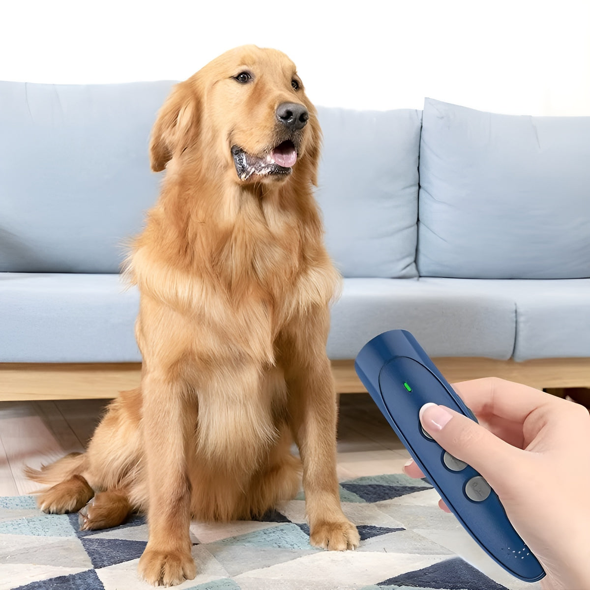 Dispositivo de entrenamiento de ladridos para perros – Disponible en NQLN Store con envío gratis desde $20