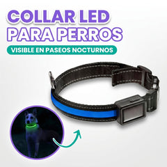 Collar LED para perros