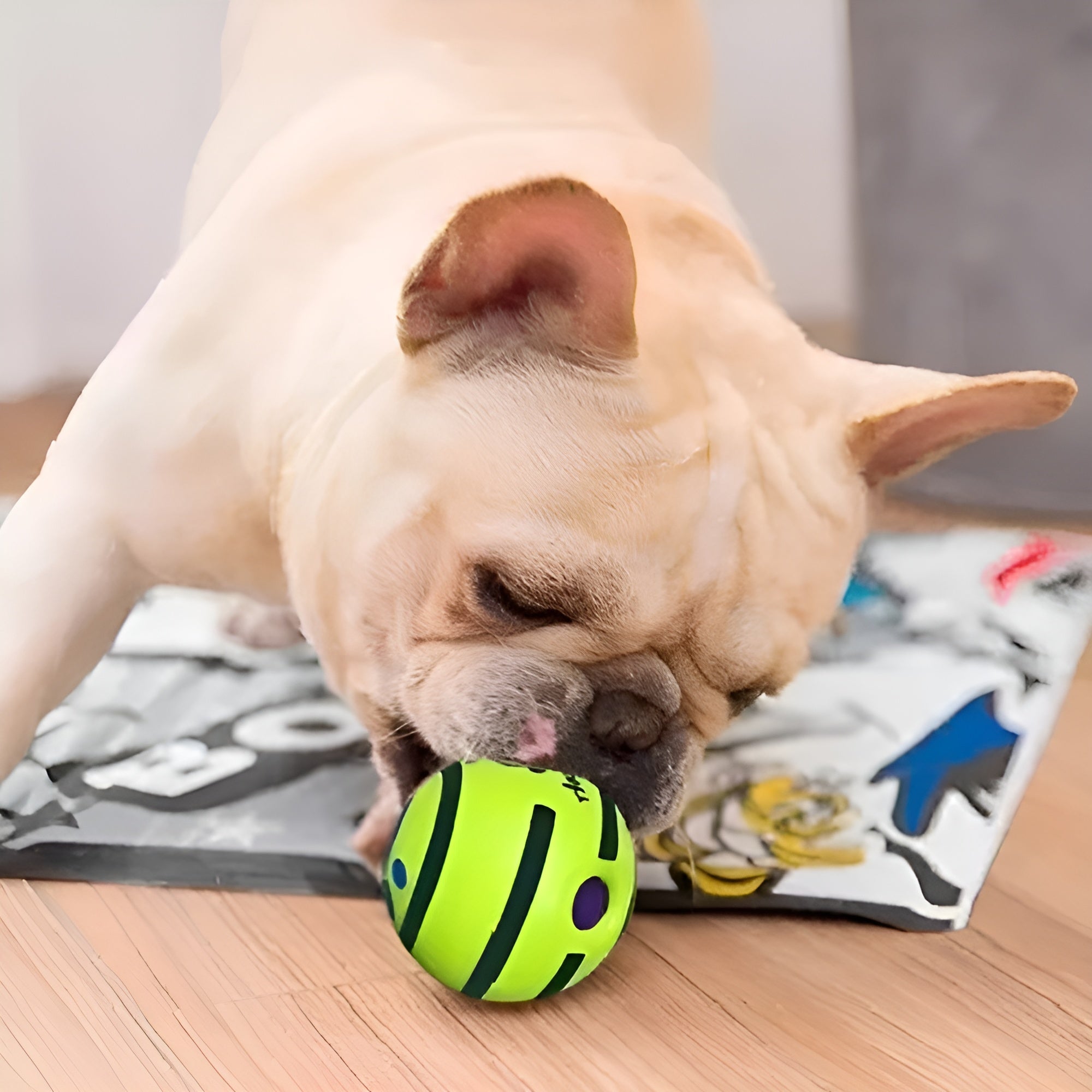 Pelota interactiva para perros – Tienda online NQLN Store Venezuela