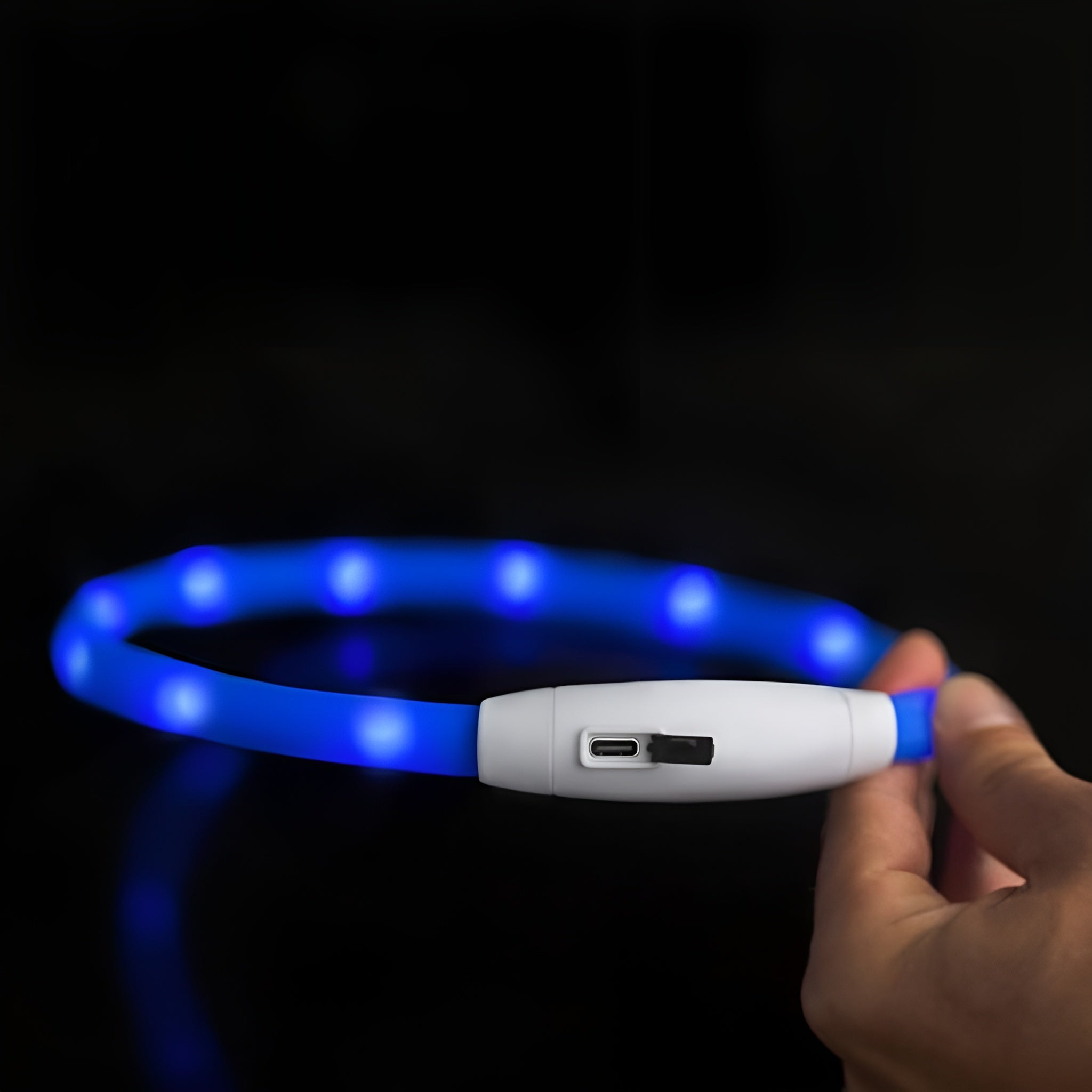 Collar Led para Mascotas Ajustable – Comprar al mejor precio en NQLN Store Venezuela