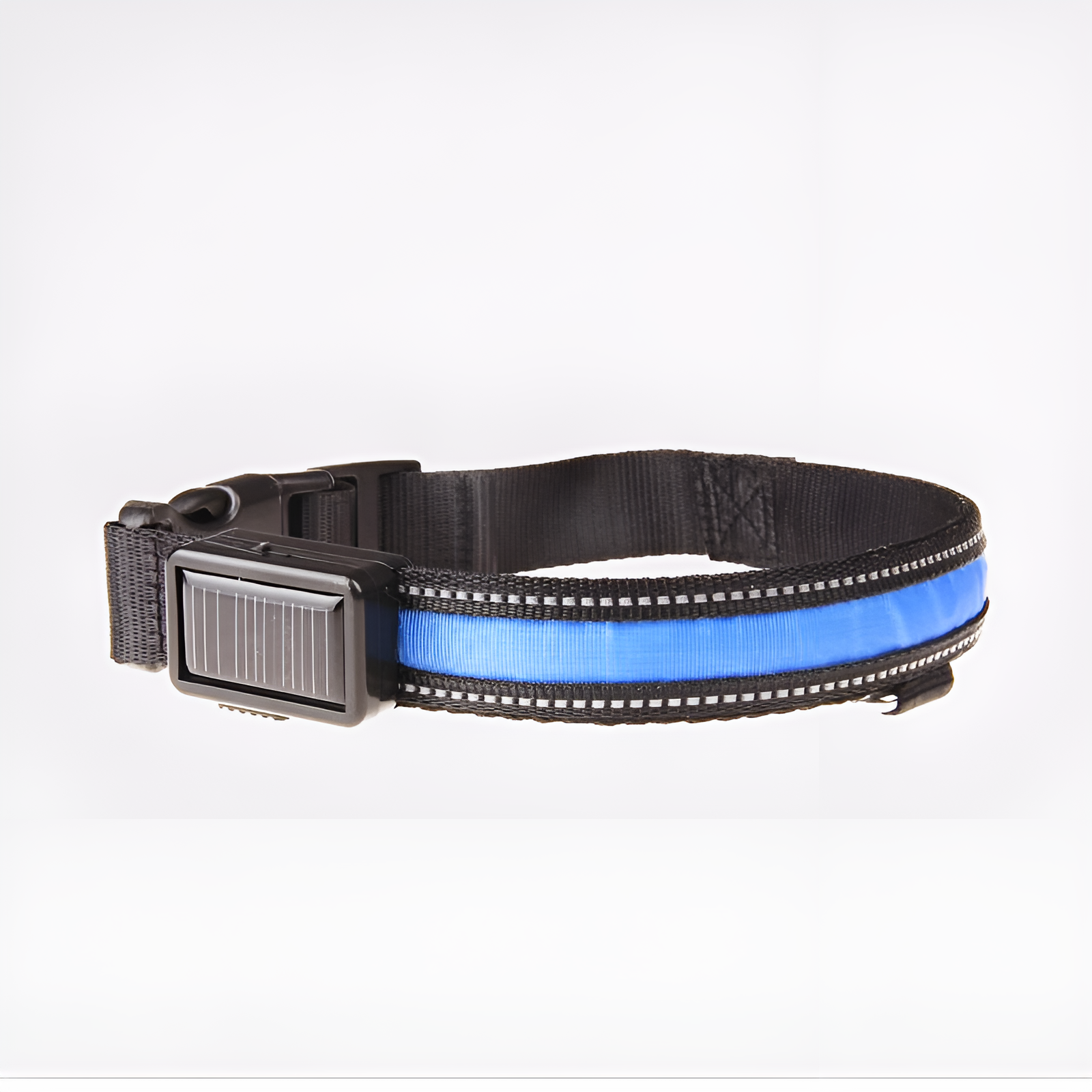 Collar LED para perros – Comprar al mejor precio en NQLN Store Venezuela