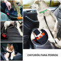 Correa de seguridad para mascotas en carros