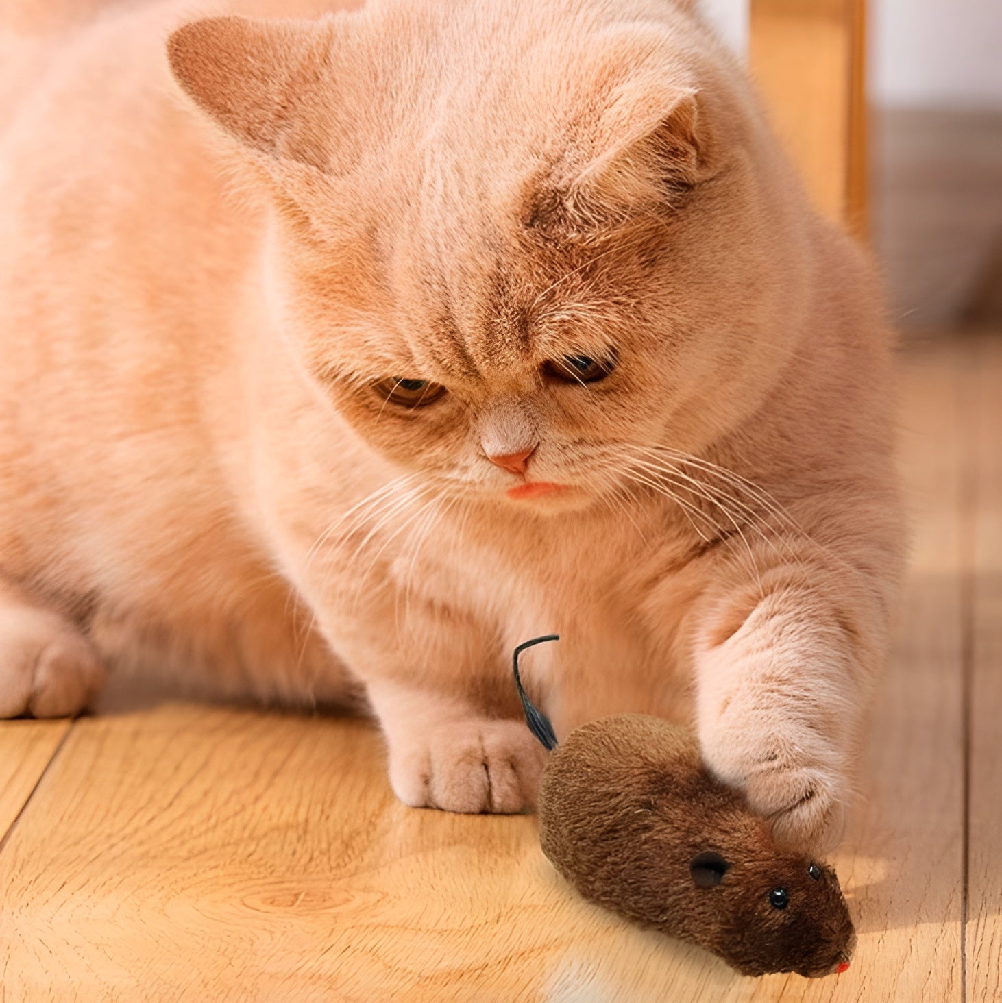 Ratón de Peluche de Cuerda para Gatos – Tienda online NQLN Store Venezuela