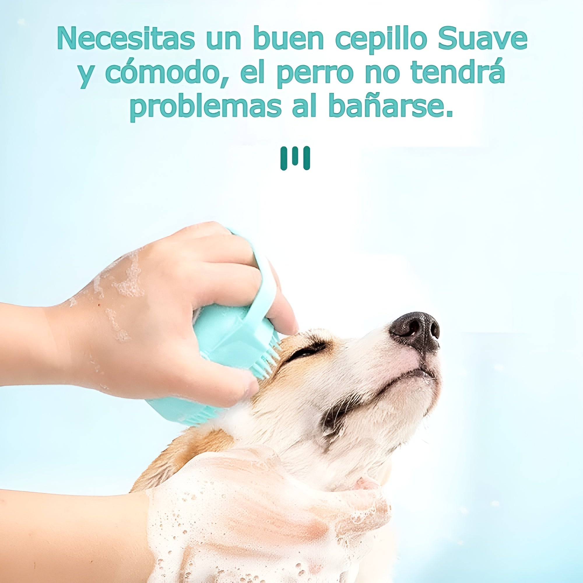 Cepillo de Silicona Exfoliante para perro – Envío a toda Venezuela – NQLN Store