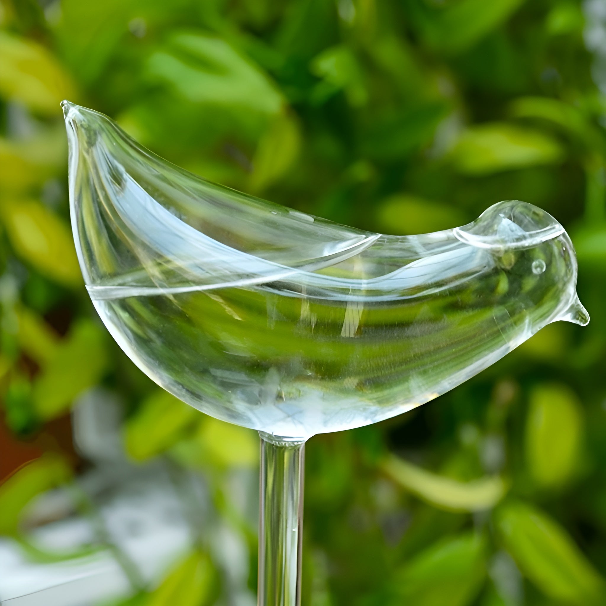 Dispensador automatico de agua para plantas – NQLN Store Venezuela, tienda online con envío a todo el país