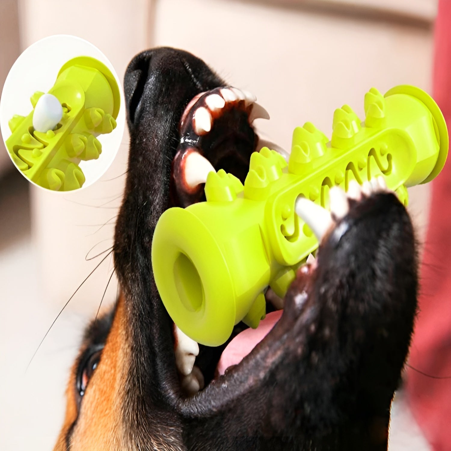 Cepillo de dientes Molar para perros – Comprar al mejor precio en NQLN Store Venezuela