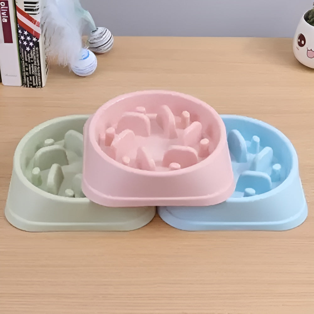 Plato de comida para alimentación lenta tipo laberinto para mascota y perro – Detalle de calidad y acabado – NQLN Store