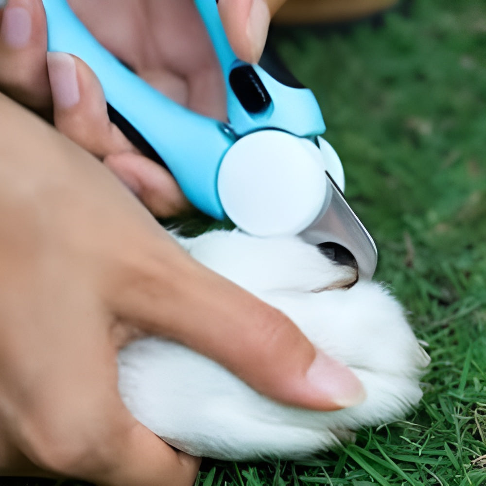 Corta uñas para mascota – Envío a toda Venezuela – NQLN Store