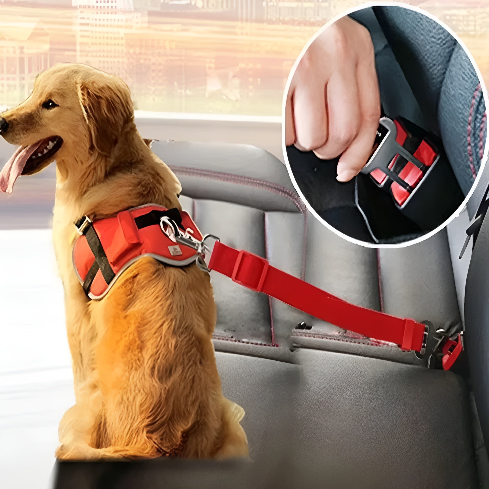 Cinturon de seguridad de mascotas para carros – Presentación del producto – Comprar en NQLN Store