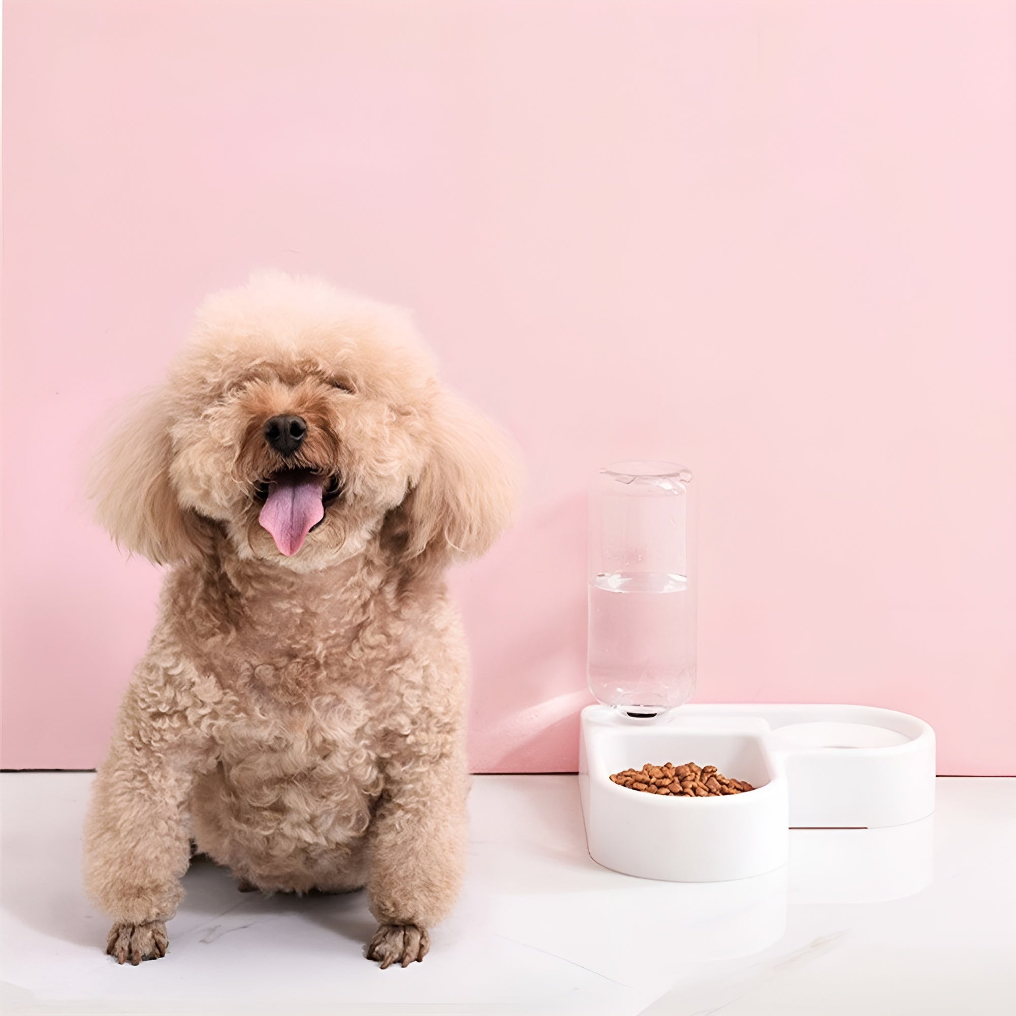 Dispensador de esquina en forma de corazón para mascota – Tienda online NQLN Store Venezuela