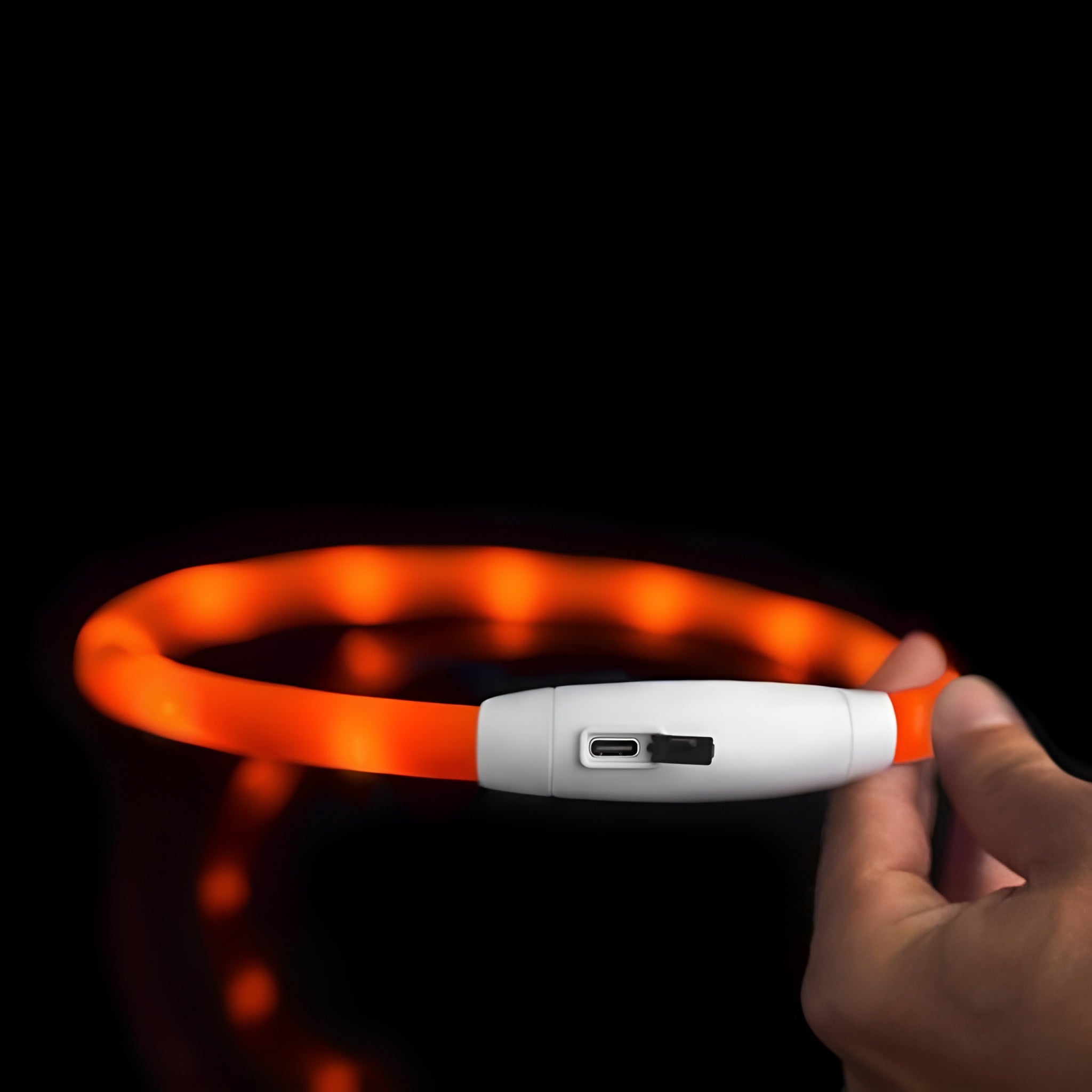Collar Led para Mascotas Ajustable – Comprar al mejor precio en NQLN Store Venezuela