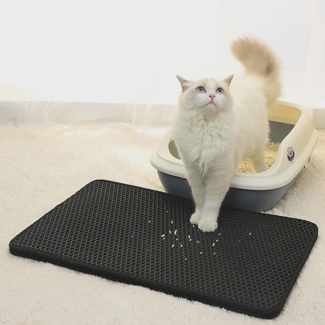 Alfombrilla de arena para gatos – NQLN Store Venezuela, tienda online con envío a todo el país