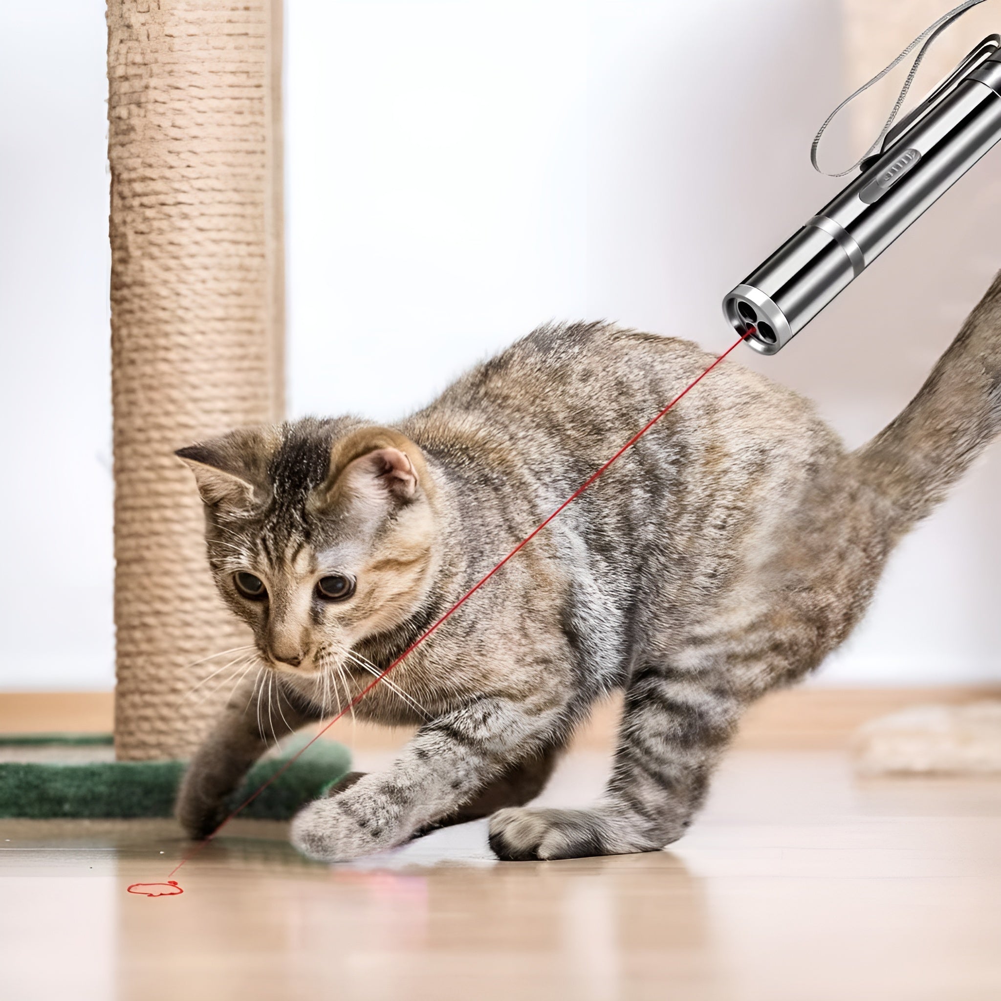 Juguete laser para mascotas – Disponible en NQLN Store con envío gratis desde $20