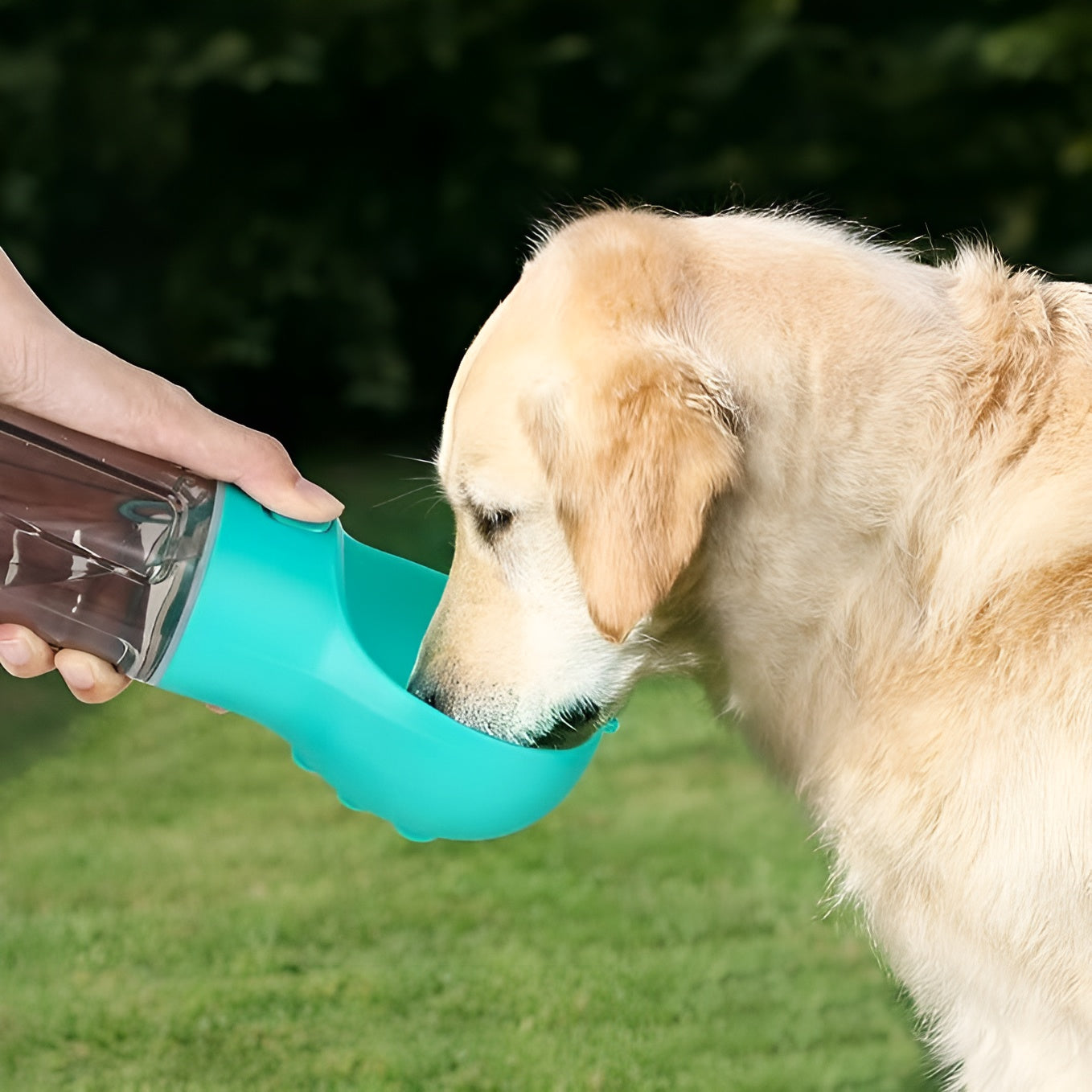Botella de agua multifuncional 5 en 1 para mascota. – Disponible en NQLN Store con envío gratis desde $20