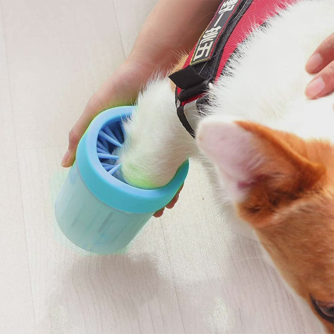 Envase para limpieza de las patas de perro – Disponible en NQLN Store con envío gratis desde $20