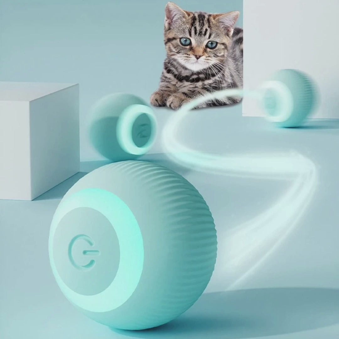Pelota interactiva para gato para mascota – NQLN Store Venezuela, tienda online con envío a todo el país
