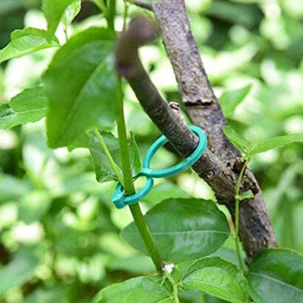 Enredaderas de plastico para plantas – Comprar online en NQLN Store Venezuela con envío a todo el país