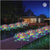 Luces solares LED para jardín – NQLN Store Venezuela, tienda online con envío a todo el país