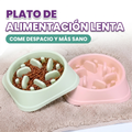 Plato de comida para alimentación lenta tipo laberinto para mascota y perro – Comprar online en NQLN Store Venezuela con e...