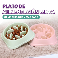 Plato de alimentacion lenta para perros